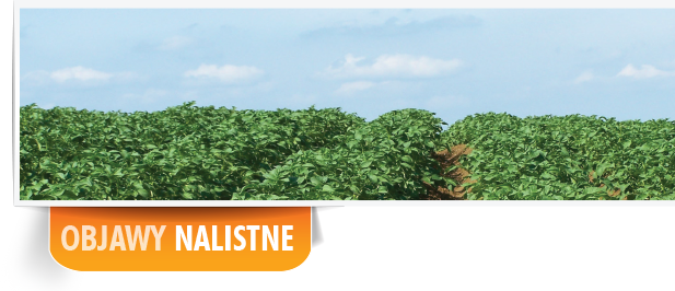 foliar